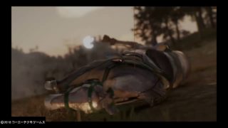 真・三國無双８_落鳳の凶