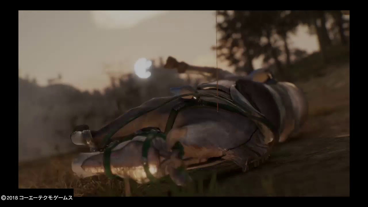 真・三國無双８_落鳳の凶