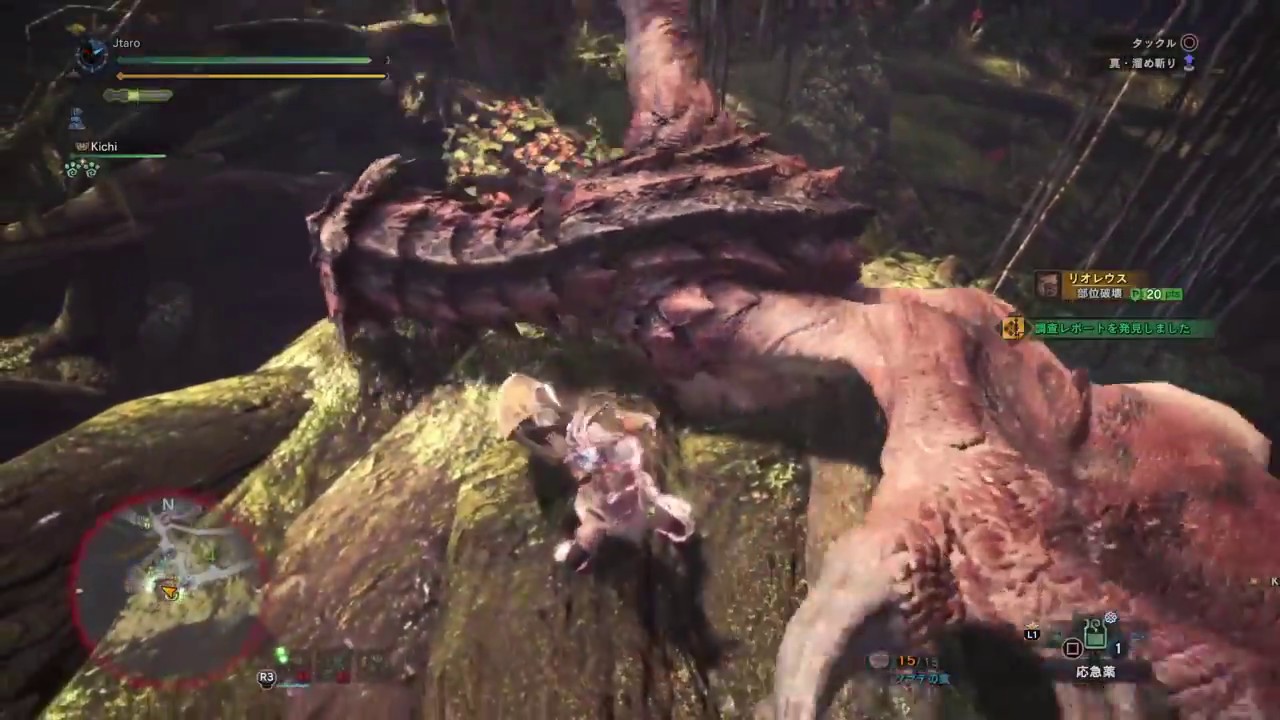 モンスターハンター：ワールド_フリークエスト　最強・最凶・最高夫妻　ソロ　リオレウス　リオレイア