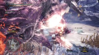 モンスターハンター：ワールド_20180225221944