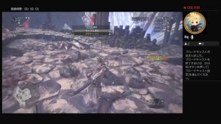 #13  モンスターハンターワールド　クシャルダオラリベンジ編