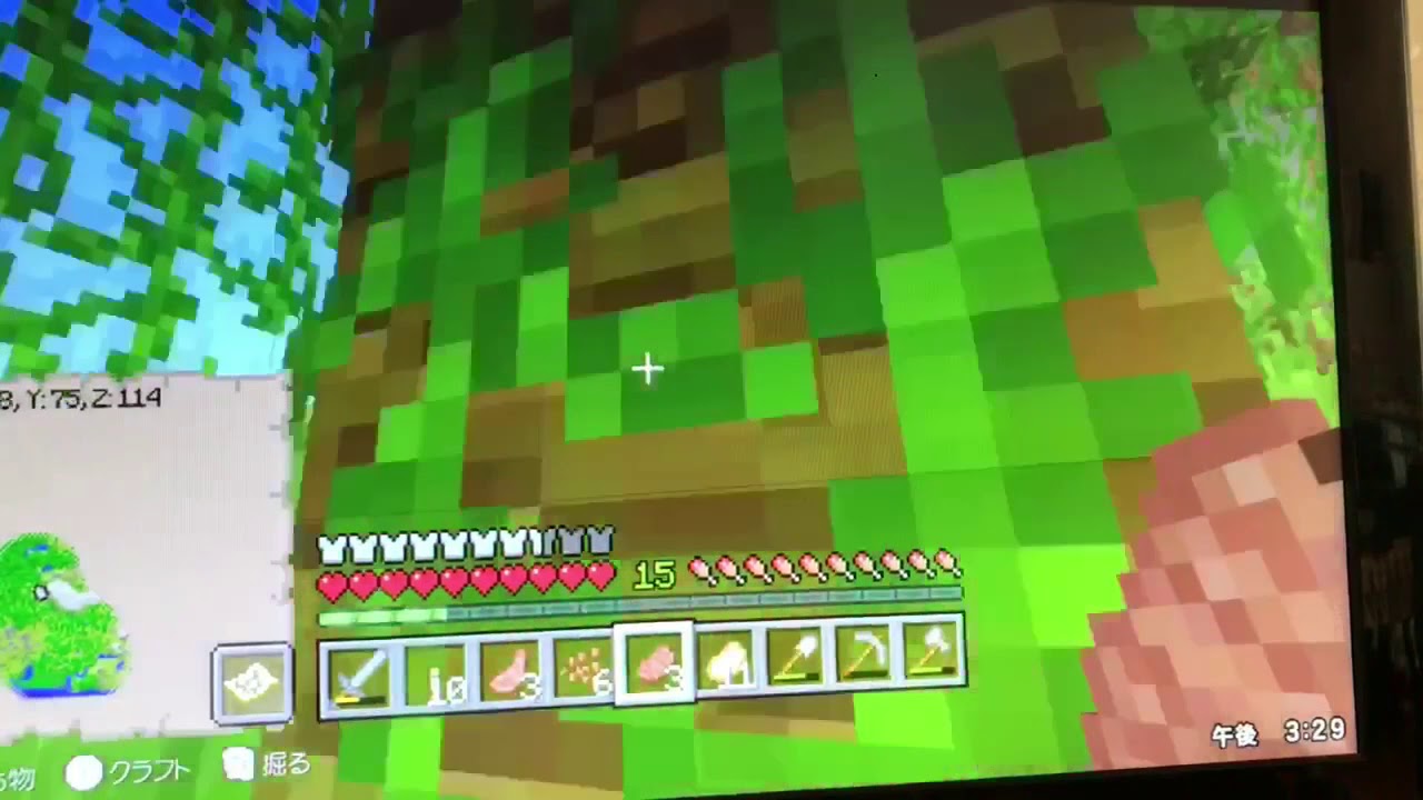 チビのマインクラフト！part6前編(ソロ実況)