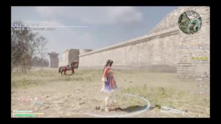 真　三國無双8 キャラクター　大きﾖう