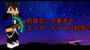 マインクラフト　防具なしで素手でエンダードラゴン討伐ポーションあり終了後何かやる