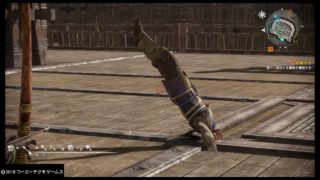 真・三國無双８_20180220193412