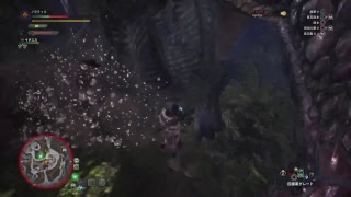 (声あり)モンスターハンターワールド