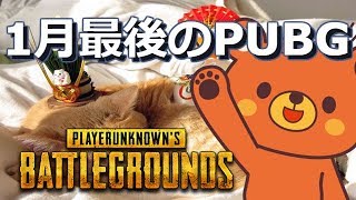 【PUBG】🐻1月最後のPUBG- 2018/1/31【実況ライブ】