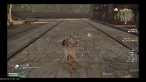 真・三國無双８　蔡文姫　黄蓋バスターを決める