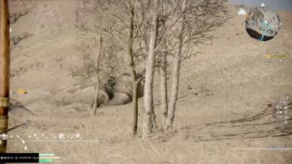 真・三國無双８　山賊増殖