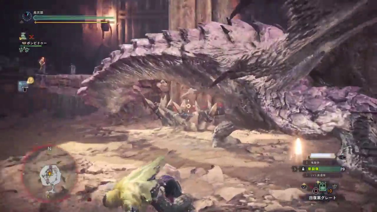 MONSTER HUNTER WORLD　モンスターハンター：ワールド　闘技場　リオレイア亜種