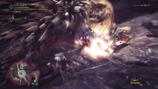 モンスターハンター：ワールド　ネルギガンテ　ランス　ソロ　2分19秒　★8古を喰らうもの　Nergigante Lance solo