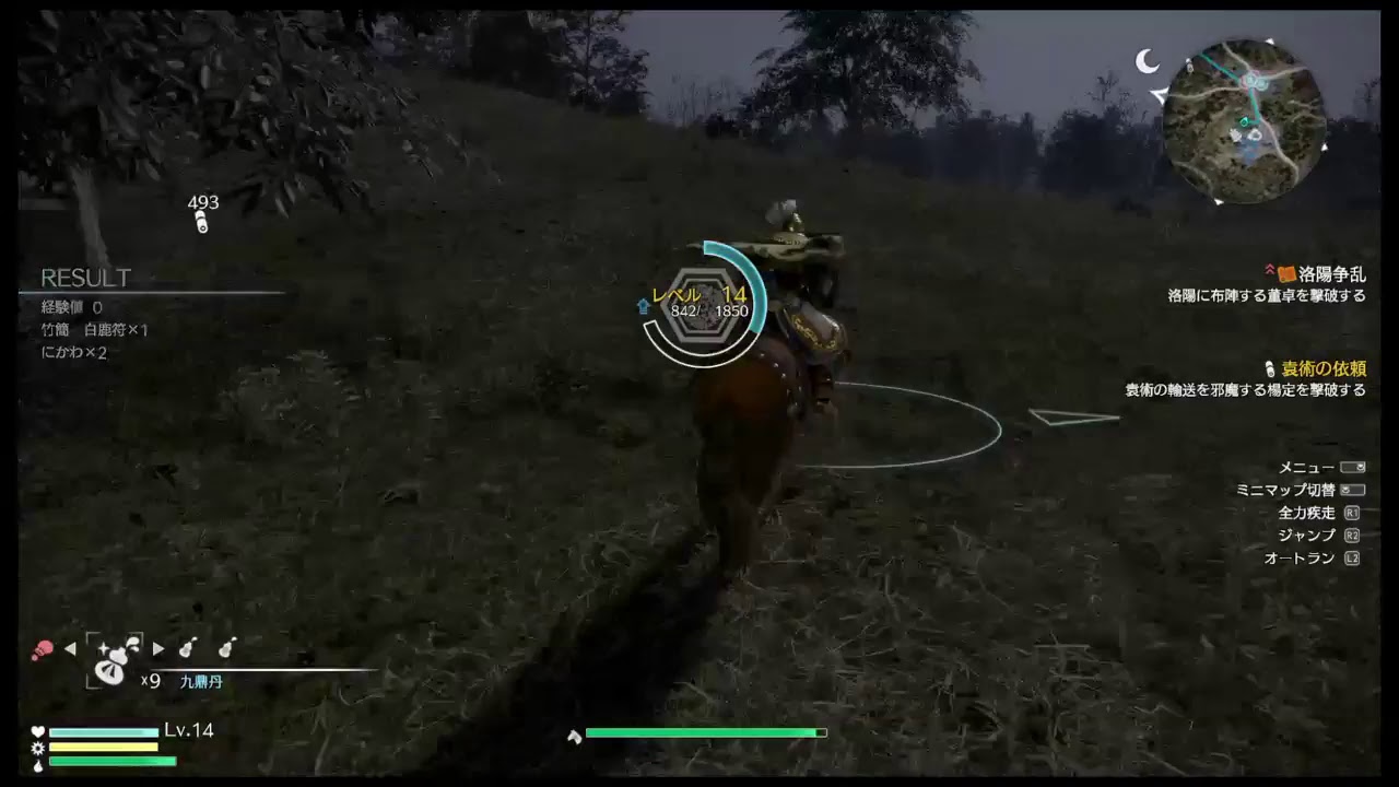 真・三國無双8 袁昭とかでプレイ(Dynasty Warriors 9)