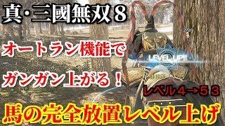 真・三國無双８【馬の完全放置レベル上げ】騎乗時のオートラン機能を使って自動的に３時間で簡単に５０レベルアップ！