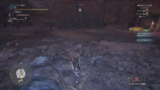 モンスターハンター：ワールド_特殊闘技場　プケプケ　下位