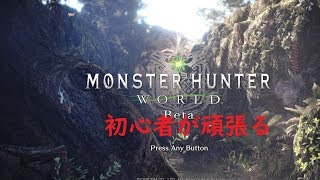 PS4　#６　モンスターハンターワールド　MHW　モンハンシリーズ初プレイ