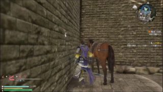 ［真三國無双８］夏候惇