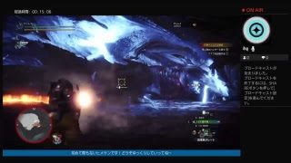 モンスターハンターワールドヴァルハザク討伐パート2