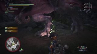 (声あり)モンスターハンターワールド[下手くそプレイ]