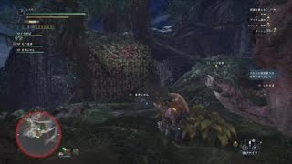 モンスターハンター：ワールド_20180213020632