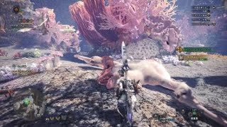 モンスターハンター：ワールド_20180223101624