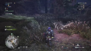 【モンスターハンターワールド】元プロハンターのエンジョイライフっ【参加歓迎！！】