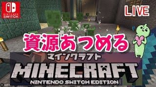 スイッチ版マインクラフト！マルチ！探索して資源集め！雑談ＯＫ！マイクラ！Minecraft