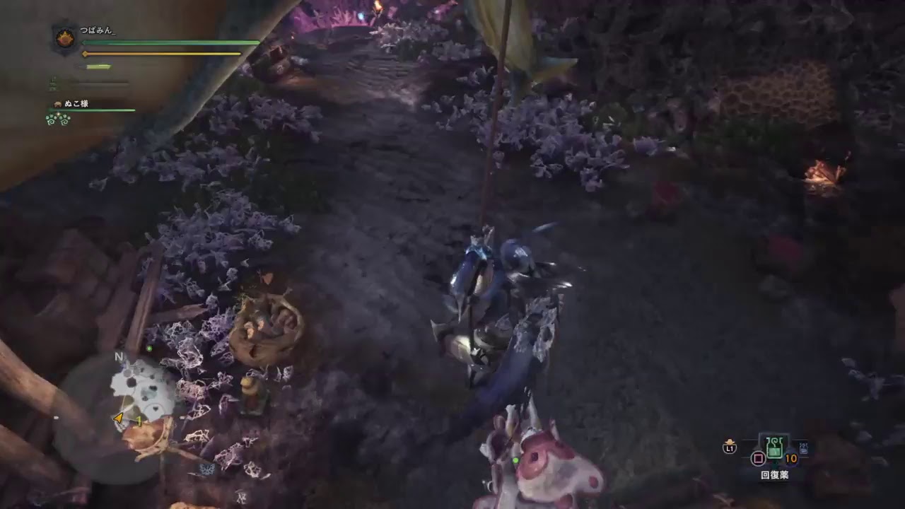 モンスターハンターワールド実況 ニートののんびり狩人生活#7 蟻塚のプケプケ等  MHW