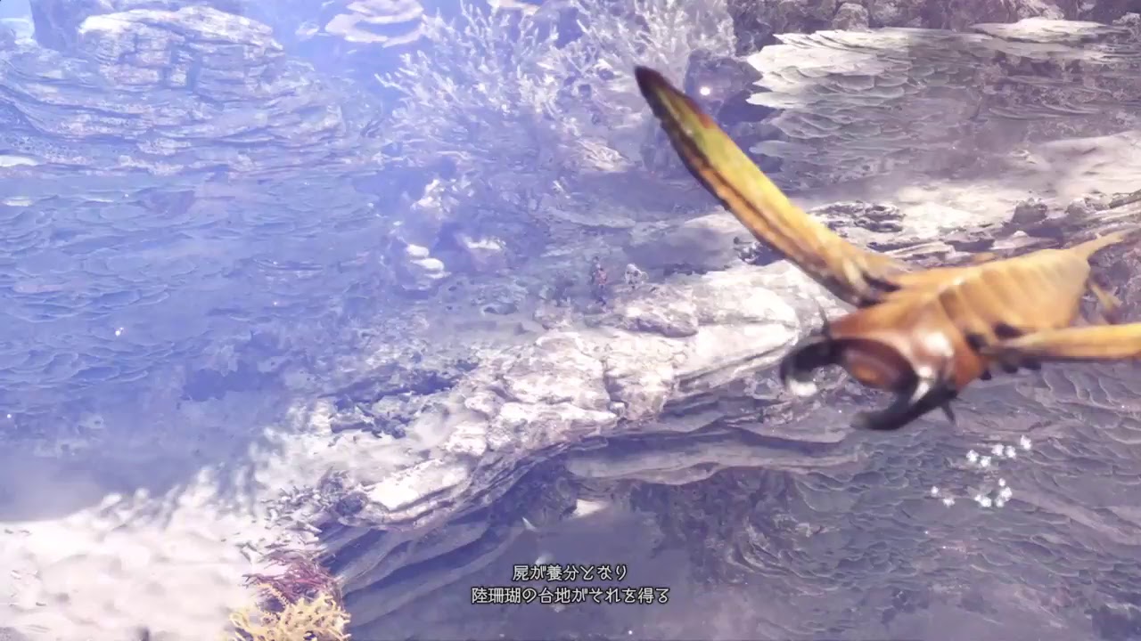 #9 モンスターハンターワールド 実況生放送