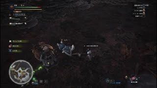 モンスターハンター：ワールド_20180223140433
