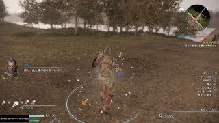 真・三國無双８　王異　黄蓋バスターを決める