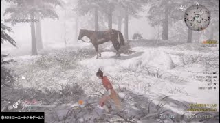 真・三國無双8  小喬で狩りpt.2  曲だけオリジナル。