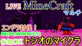 [LIVE] Minecraft（マインクラフト）BE(Win10とPEほか）エンドラ討伐始めるぞ～！