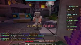 マインクラフト