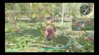 真　三國無双8 キャラクター　猛獲