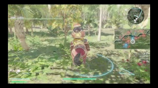 真　三國無双8 キャラクター　猛獲