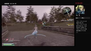 真三國無双8　王元姫