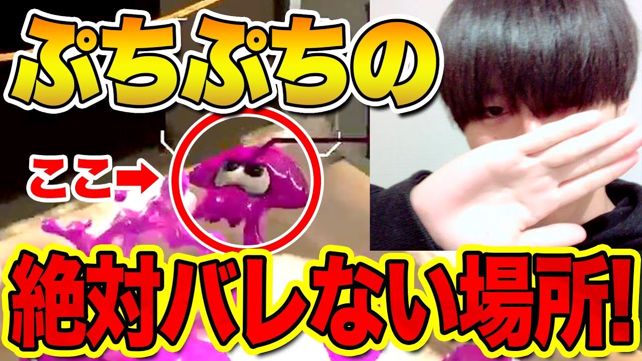 ぷちぷちの絶対バレない隠れ場所!!【スプラかくれんぼ２】スプラトゥーン２