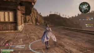 真・三國無双8初見プレイ #9(魏)