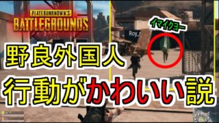 【PUBG実況】言葉は通じないけど、一体感ある時がたまらないね