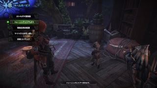 PS4　残念なモンスターハンターワールド。