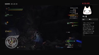 モンスターハンターワールド その9