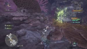 [MHW] モンスターハンターワールド/ 初心者が狩りに出る