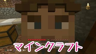 マインクラフト～のんびりサバイバル～
