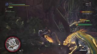 モンスターハンター　ワールド　生配信