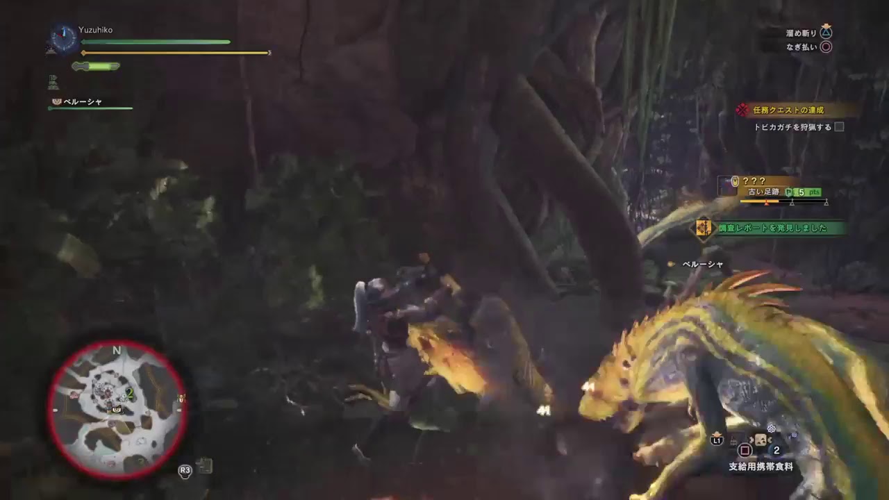 モンスターハンター　ワールド　生配信