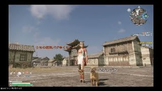 【真三國無双8】深淵？異空間に呑まれかける姫【バグ】2