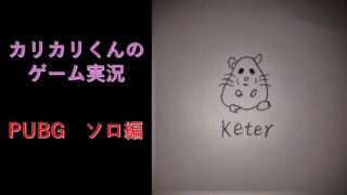 【PUBG 実況】ドン勝どう？おいしい？🐹【PUBG ライブ】【PLAYERUNKNOWN'S BATTLEGROUNDS】