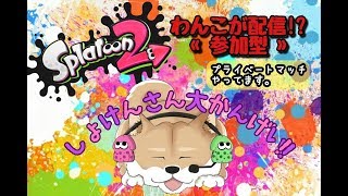 【スプラトゥーン2】プライベートマッチ！参加型【初見大歓迎】