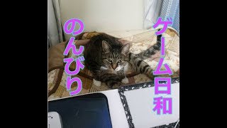 のんびりゲーム放送　【マインクラフト】