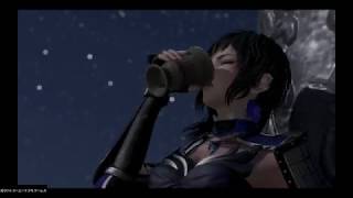 【真・三國無双8】王異のエンディング「月夜の渇き」